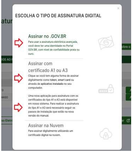 Escolha o Tipo de Assinatura Digital
